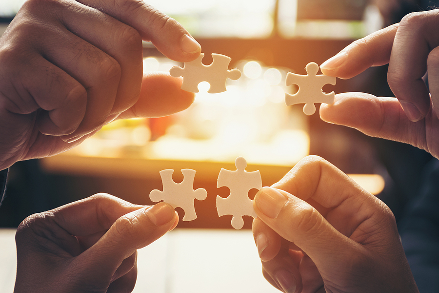 Meet the Kingfisher Team, Our Mission, and More